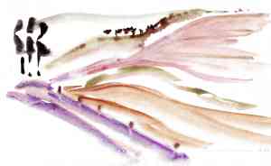 kurtz-AB-03-lands-xc1