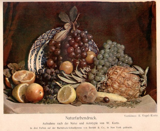 kurtz-will-still-life-fruit-1