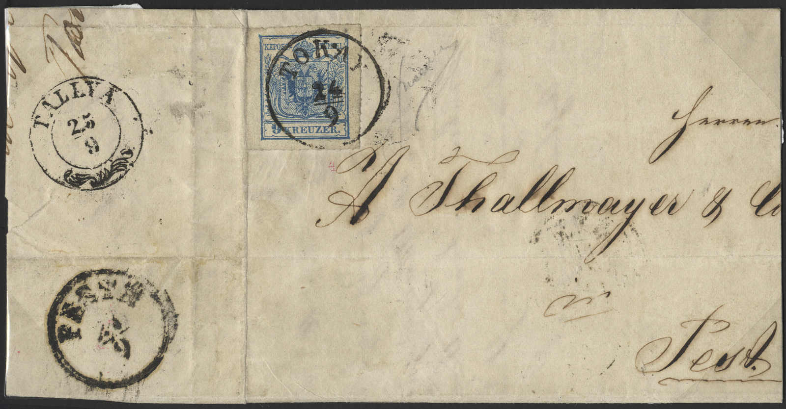 austria-5-Tokay-Dst-deider1