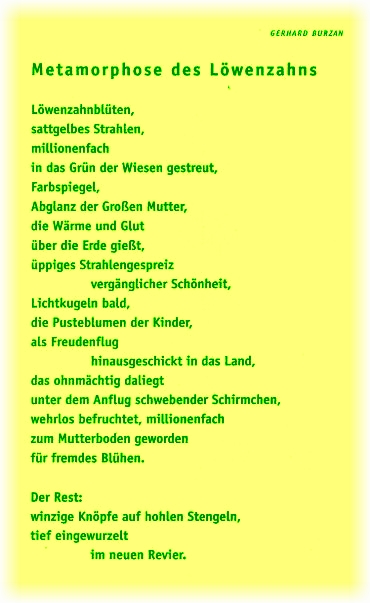 burzan-gerd-Löwenzahn-01-cr1